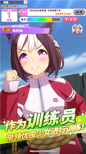 闪耀优俊少女国服下载安装iosVIP版