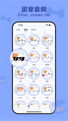 小白交流翻译器