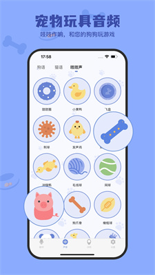 小白交流翻译器VIP版